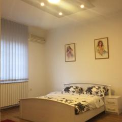 Apartman br.1