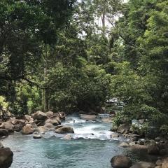 La Piña, Rio Celeste