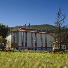 Hotel Balneario Areatza Nº 01224