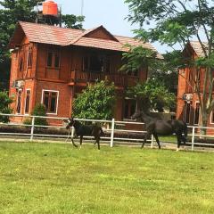 APM Equestrian Resort