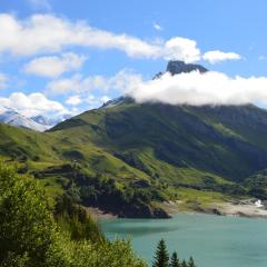 Chalet de Roselend