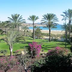 Apartments near the beach, with terrace and WIFI