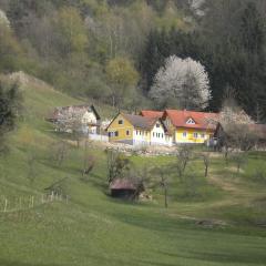 Buchschneider - Ferienhaus Maier - Landhof