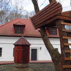 14 Century Water Mill