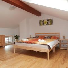 Apartma Ana Drežnica