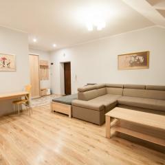 Wonderful flat on city center (Mukachivska 4/15)