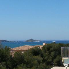 Domaine de la Coudoulière, T2 climatisé terrasse vue mer sans vis à vis plage à 100m