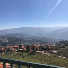 Douro vineyards and Mountains