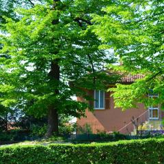 伊杰尼尔奈帕可住宿加早餐旅馆