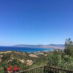 Philip's Holiday House