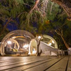 Bubble Lodge Ile aux Cerfs Island