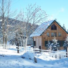 Kuca u borju - House in pines