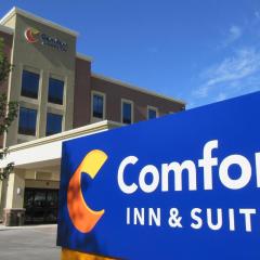 Comfort Inn & Suites Boise Airport