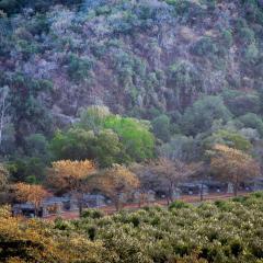 Lions Rock Rapids - Luxury Tented Camp