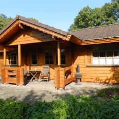 Chalet Nieuw Beusink