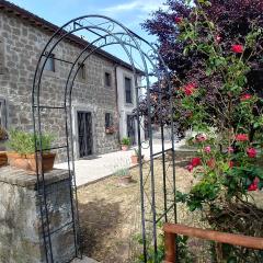 B&B Paternocchio