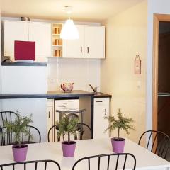 Vivienda Turística Pirineos XXI