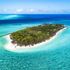 Heron Island