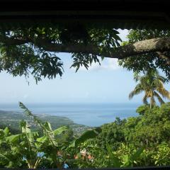 mango tree lodge