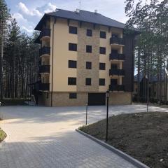 Zlatibor apartmani Jakovljevic