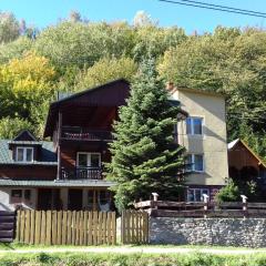 Willa Rytro dom wakacyjny w górach do wynajęcia na wyłączność dla 15 osób