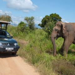 Mahoora Udawalawe - by Eco Team