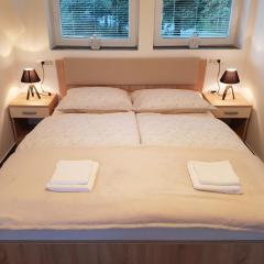 4 seasons apartment Radovljica