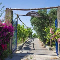 Agriturismo La Pergola