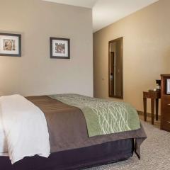 Comfort Inn Edinburg South