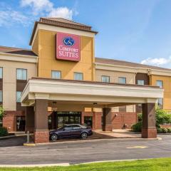 Comfort Suites Fairview Heights Saint Louis