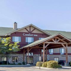 Comfort Inn Owatonna near Medical Center