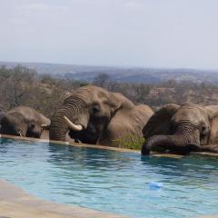 Mbizi Bush Lodge