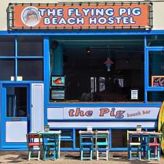 The Flying Pig Beach Hostel, ages 18 - 40