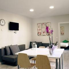 Apartamentos Logroño Centro