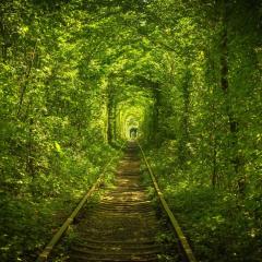 Hotel Tunnel of Love