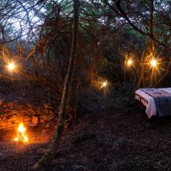 Glamping Safari Camp - Bellevue Forest Reserve