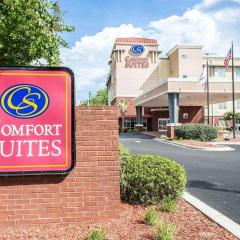 Comfort Suites Rock Hill Manchester Meadows Area