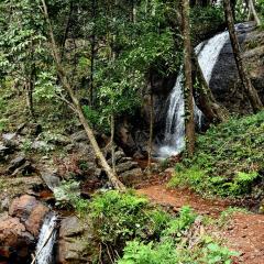 Karadikallu Homestay - Private Waterfalls, Hill Top, Home Food