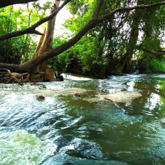 Stream View Family Resort