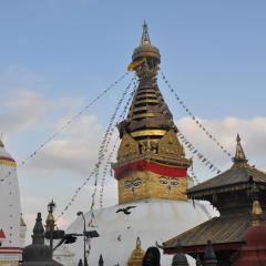 STUPA VIEW INN