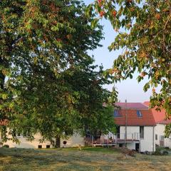 Gut Belgerhof Steinbach Ferienwohnung