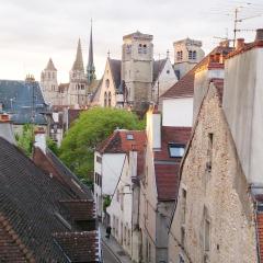Apartment Bonnard - best view in Dijon