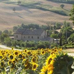 "La Casa degli ulivi Art B&B"