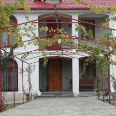 Villa "zepuri"