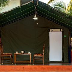 Tent-O-Treat Premium Rooms near Dapoli
