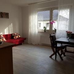 Helle Ferienwohnung an der Rheinpromenade 50 qm