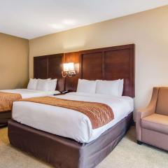 Comfort Inn Roswell-Dunwoody