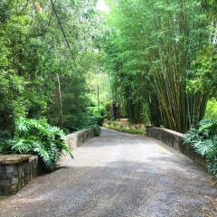 Mango Hill Farm