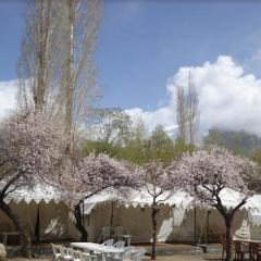 Royal Deluxe Camp & Resort, Hunder- Nubra