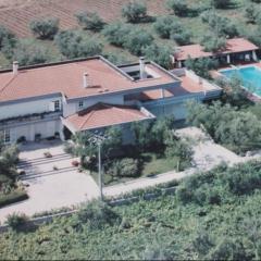 B&B Arli